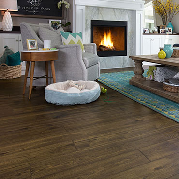 Pergo Laminate Flooring