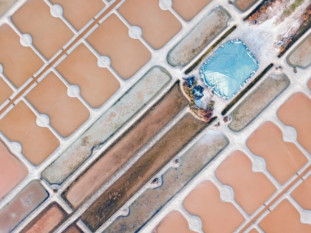 Best Steam Cleaner For Grout - DG Floors