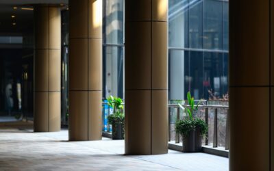 Commercial Flooring Options - DG Floors