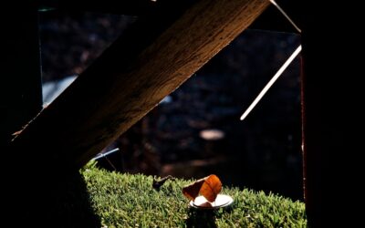 Freshly installed artificial grass in a backyard