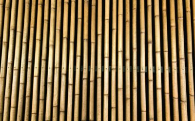 Bamboo Vs Hardwood Seo_Title Bamboo Vs Hardwood Flooring Which Is Better 2026 Comparison Meta_Description Bamboo Vs Hardwood Flooring Compared Side By Side See How They Stack Up On Hardness