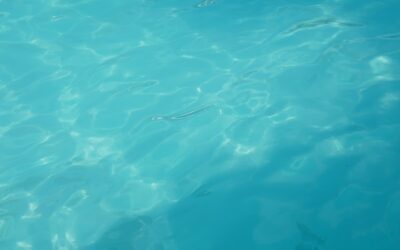 Robotic pool vacuum cleaning the bottom of a clear swimming pool