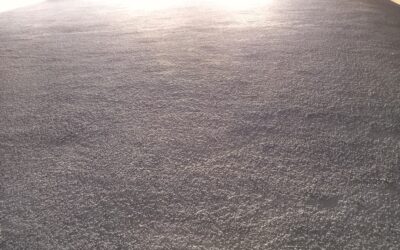 Carpet cleaner solution being sprayed on a stained carpet