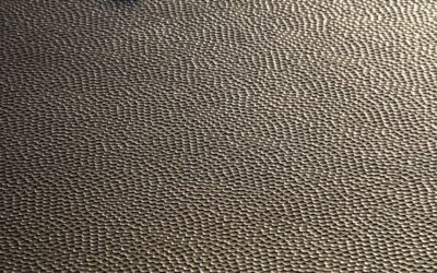 Carpet For Bedroom Seo_Title Best Carpet For Bedrooms 2026 Fibers Pile Heights Colors Top Picks Meta_Description Find The Best Carpet For Bedrooms In 2026 Compare Plush Nylon Soft Polyester