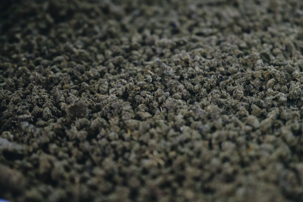 Various carpet style samples showing different textures and patterns