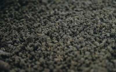 Various carpet style samples showing different textures and patterns