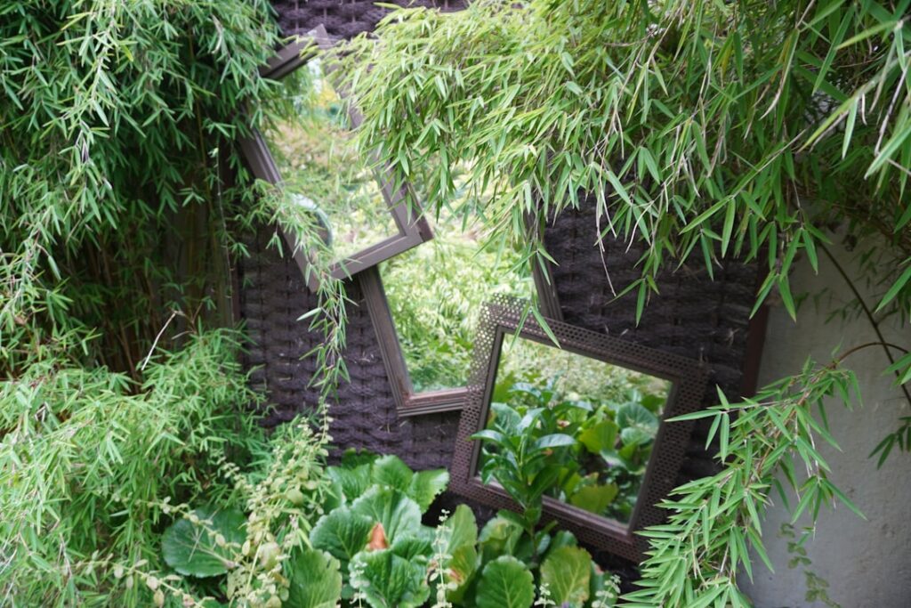 A curved cattle panel trellis archway in a garden with green climbing vines growing over the metal frame