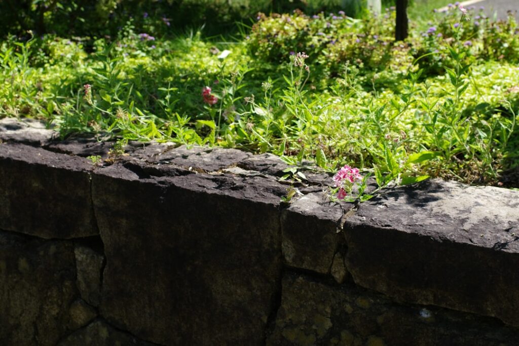 A neatly edged flower bed with stone borders separating colorful flowers from a green lawn