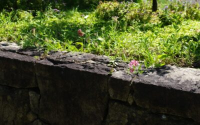 A neatly edged flower bed with stone borders separating colorful flowers from a green lawn