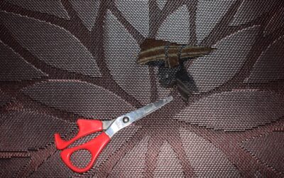 Professional carpet installer stretching carpet in a residential room