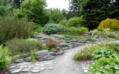 Attractive garden path with natural stone pavers surrounded by lush greenery