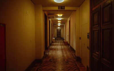 Patterned carpet runner in a well-lit residential hallway