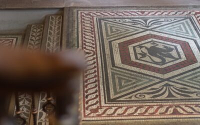Hexagonal floor tiles arranged in a modern honeycomb pattern