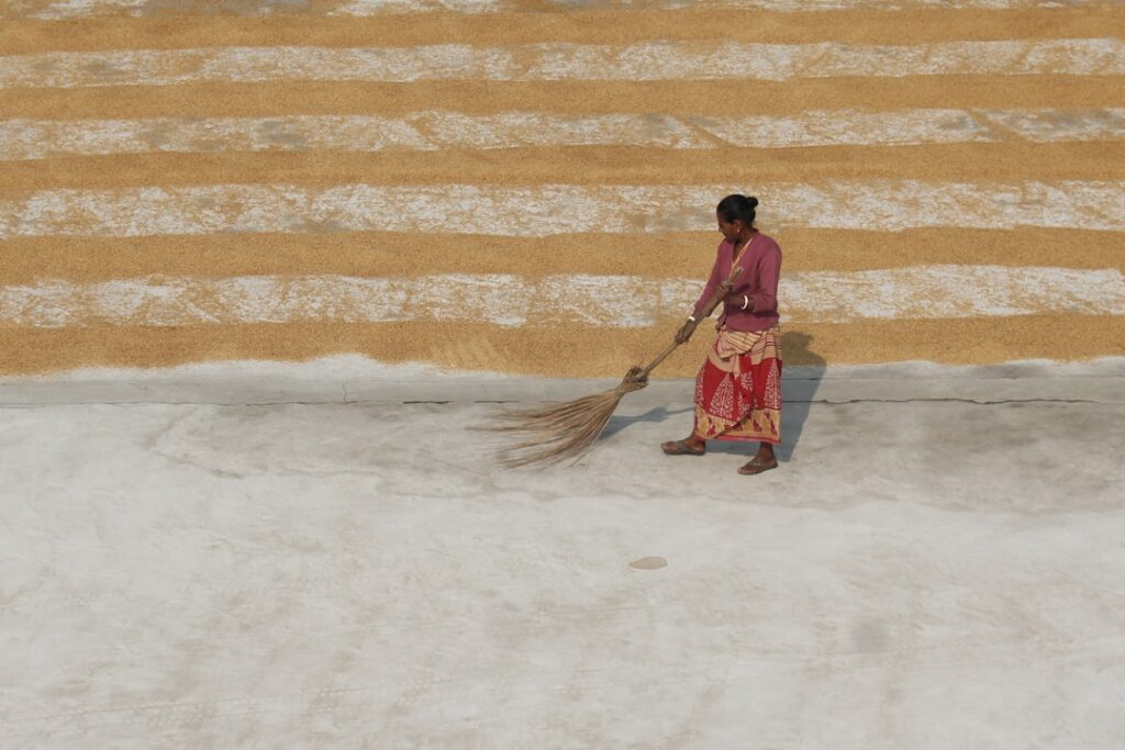 Baking soda sprinkled on carpet before vacuuming for deodorizing