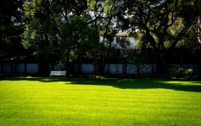 Artificial grass being rolled out over a prepared base in a backyard