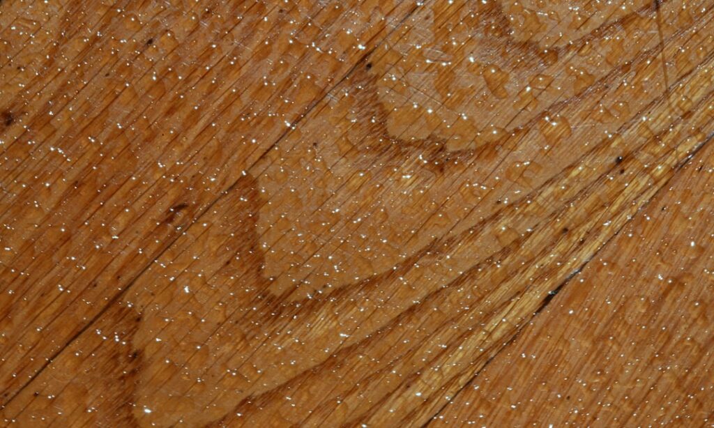 Applying wood stain to a sanded hardwood floor with a lambswool applicator