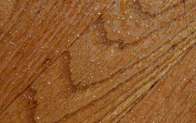 Applying wood stain to a sanded hardwood floor with a lambswool applicator