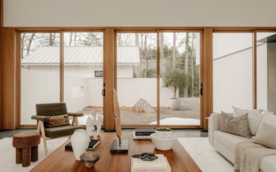 Tall fiddle leaf fig tree in a bright modern living room next to a window with natural light