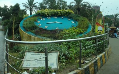 Beautiful natural pool with aquatic plants and stone surround in a landscaped backyard
