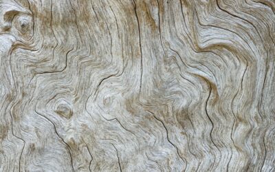 Natural unstained white oak hardwood flooring in a bright living room