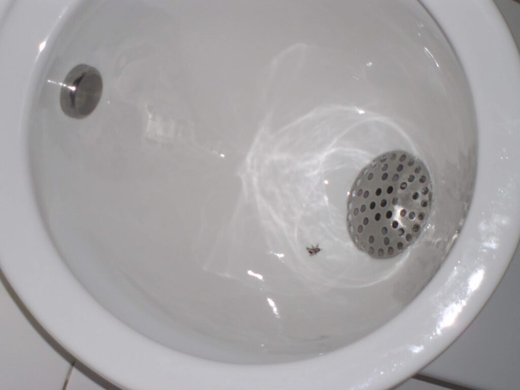 Close-up of a chrome pop-up sink stopper in a white bathroom sink