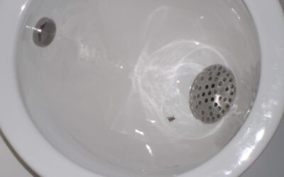 Close-up of a chrome pop-up sink stopper in a white bathroom sink