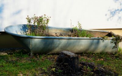 Black soaker hose weaving through a mulched garden bed with water seeping along its length
