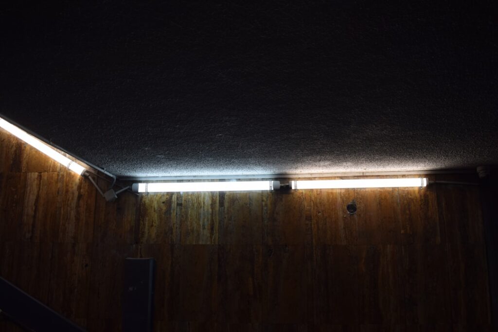 Split image showing a room lit with warm soft white bulbs on the left and bright daylight bulbs on the right