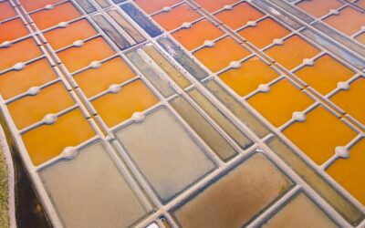 Person applying grout sealer to tile floor with an applicator bottle