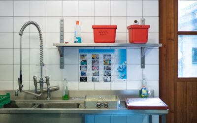 Clean modern kitchen interior free of pests with bright lighting