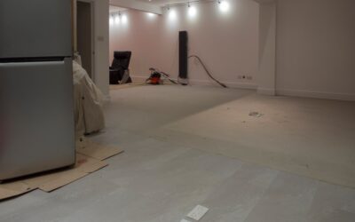 Modern finished basement with light vinyl plank flooring and comfortable furniture