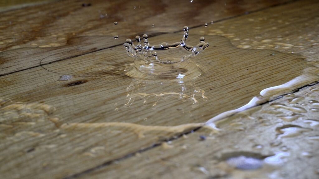 White water stain ring on a hardwood floor surface
