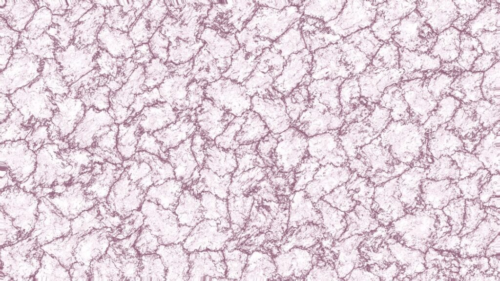Polished quartzite countertop showing natural veining and crystalline texture
