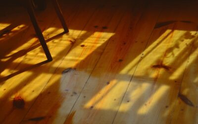 Mop For Hardwood Floors - DG Floors