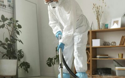 Baking Soda on Carpet - The Complete Guide to Cleaning and Deodorizing