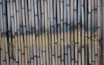 Bamboo Flooring Cost - Pricing Per Square Foot, Installation, and Key Factors