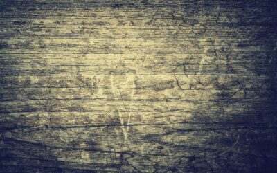 Brazilian Walnut (Ipe) Flooring - Durability, Cost, Pros and Cons