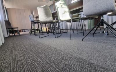 Modern open-plan office with gray carpet tile flooring and workstations