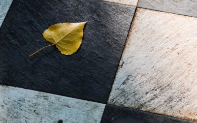 Outdoor Wood Flooring Options - Decking, Tiles, and Alternatives