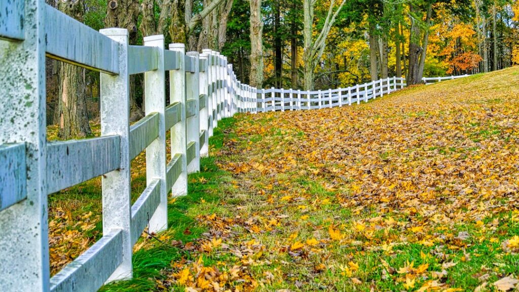 3 Rail Vinyl Fence: Complete Guide for Homeowners