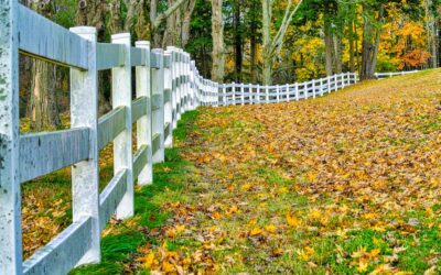 3 Rail Vinyl Fence: Complete Guide for Homeowners
