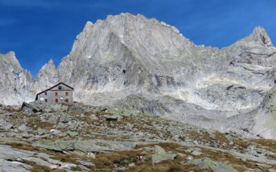 Alpine Valley Granite: Complete Guide for Homeowners