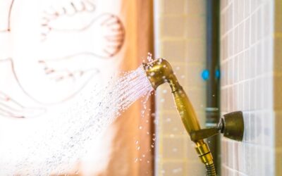Best High Pressure Handheld Shower Head: Top Picks and Buying Guide