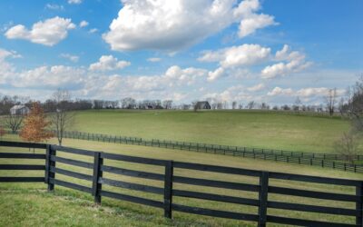 Black Vinyl Fence: A Complete Guide for Homeowners