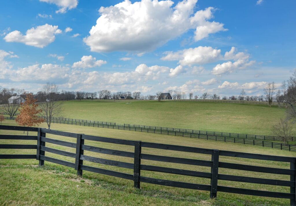 Black Vinyl Fencing: Complete Guide for Homeowners
