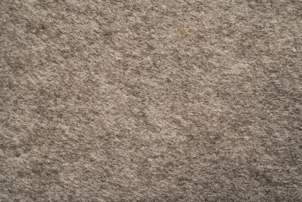 Brown Carpet Flooring: Pros, Cons, and Buying Guide