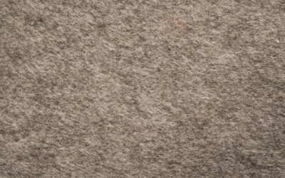 Brown Carpet Flooring: Pros, Cons, and Buying Guide