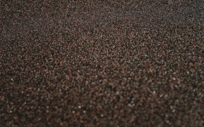 Brown Carpets: Complete Guide for Homeowners