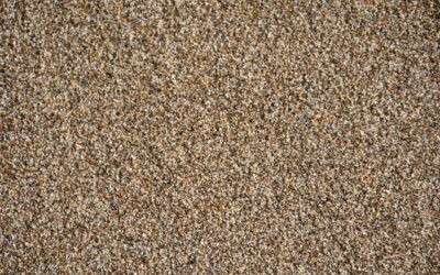 Budget Carpet: Finding Quality Under $2 Per Square Foot