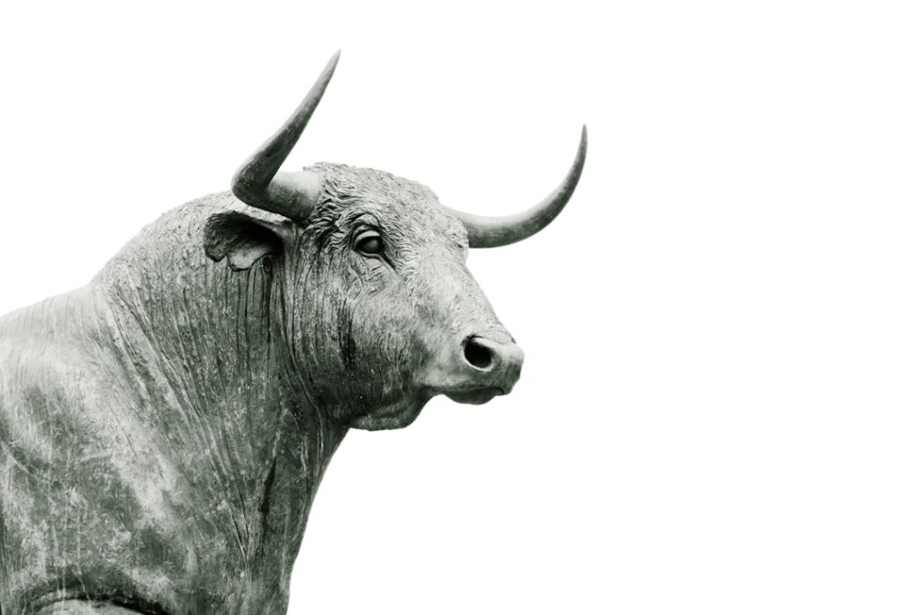 Bull Nose Tile: A Complete Guide for Homeowners